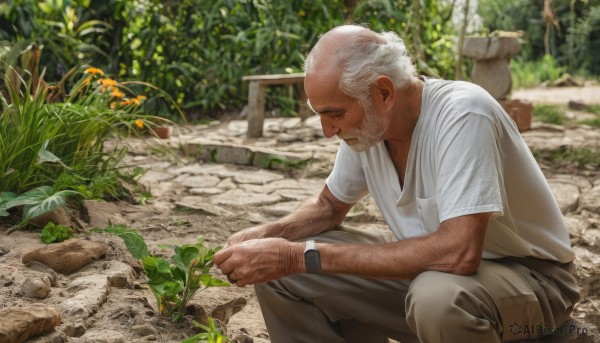 solo,short hair,shirt,1boy,sitting,white shirt,white hair,short sleeves,male focus,outdoors,day,pants,blurry,from side,blurry background,facial hair,plant,towel,t-shirt,nature,beard,watch,rock,realistic,mustache,wristwatch,bald,brown pants,old,old man,towel around neck,photo background,arm hair,garden,wrinkled skin,closed mouth,leaf,looking down,squatting,grey pants,log