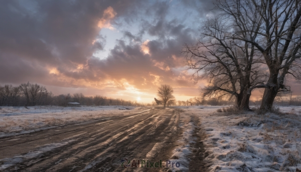 outdoors,sky,cloud,water,tree,no humans,sunlight,cloudy sky,grass,nature,scenery,snow,forest,reflection,sunset,mountain,sun,road,winter,bare tree,river,evening,landscape,pine tree,ocean,horizon,shore