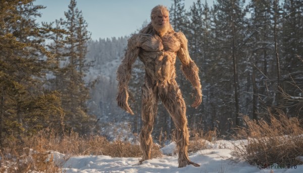 solo,1boy,standing,male focus,outdoors,sky,day,tree,no humans,muscular,nature,scenery,claws,snow,forest,monster,winter,bare tree,closed mouth,full body,nude,abs,muscular male