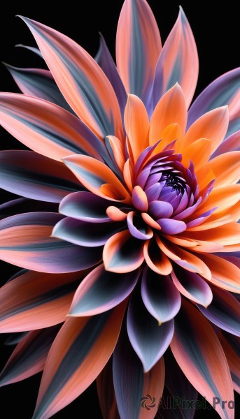An iconic abstract framed by a bold background