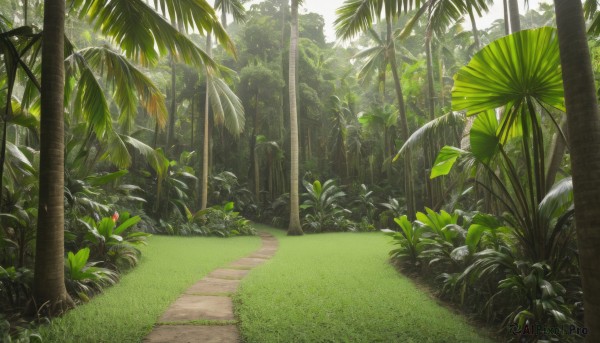 outdoors,day,tree,no humans,leaf,sunlight,grass,plant,nature,scenery,forest,palm tree,road,bush,green theme,path,signature