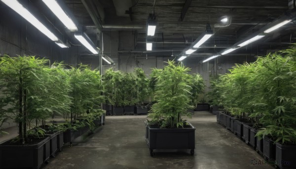 A unique view of a indoors in outdoors
