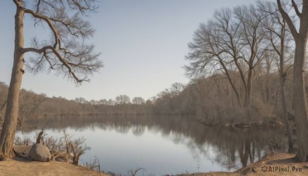 solo,outdoors,sky,day,water,tree,blue sky,pokemon (creature),no humans,grass,nature,scenery,forest,reflection,bare tree,rock,river,landscape,lake,fog