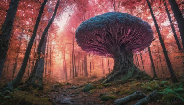 A peaceful outdoors with a unique subject