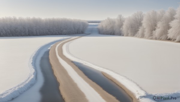 HQ,solo,outdoors,sky,day,water,tree,no humans,nature,scenery,snow,forest,reflection,road,winter,footprints,cloud,ocean,beach,close-up,realistic,sand,bare tree,waves,shore