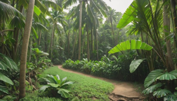 outdoors,day,tree,no humans,leaf,beach,sunlight,grass,plant,nature,scenery,forest,sand,palm tree,bush,shade,green theme