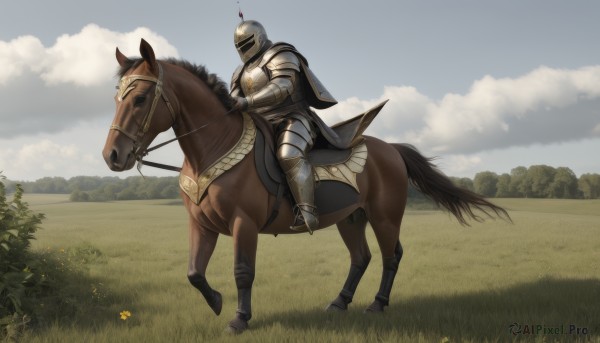 solo,weapon,flower,boots,outdoors,sky,day,cloud,cape,armor,tree,blue sky,animal,helmet,cloudy sky,grass,shoulder armor,gauntlets,scenery,1other,pauldrons,breastplate,riding,field,greaves,faulds,horse,knight,full armor,ambiguous gender,horseback riding,helm,chainmail,plate armor,reins,saddle,1boy,holding,holding weapon,no humans,nature,bush,plume