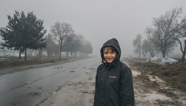 1girl,solo,looking at viewer,smile,black hair,long sleeves,closed mouth,jacket,upper body,outdoors,hood,tree,coat,black jacket,hoodie,ground vehicle,scenery,hooded jacket,motor vehicle,hood up,realistic,hands in pockets,car,road,lamppost,bare tree,photo background,real life insert,grey sky,real world location,short hair,sky,black eyes,building,snow,winter,street,overcast