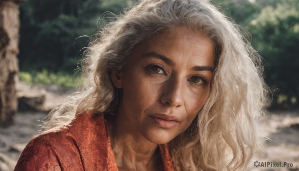 1girl,solo,long hair,looking at viewer,brown eyes,closed mouth,upper body,white hair,outdoors,japanese clothes,day,kimono,blurry,black eyes,lips,depth of field,blurry background,wavy hair,scar,messy hair,portrait,freckles,curly hair,realistic,nose,red kimono,mole,mole under mouth