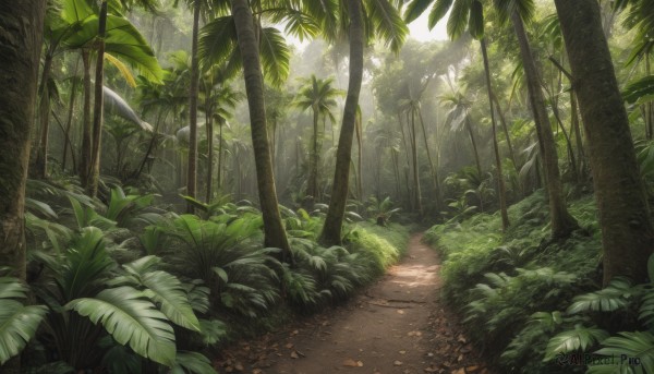 outdoors,day,tree,no humans,leaf,sunlight,grass,plant,nature,scenery,forest,light rays,rock,palm tree,bush,road,path