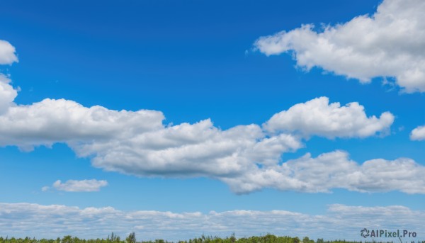 outdoors,sky,day,cloud,tree,blue sky,no humans,cloudy sky,grass,nature,scenery,forest,blue theme,artist name,signature