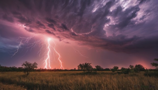 outdoors,sky,cloud,tree,no humans,cloudy sky,grass,nature,scenery,forest,sunset,electricity,lightning,red sky,field,landscape