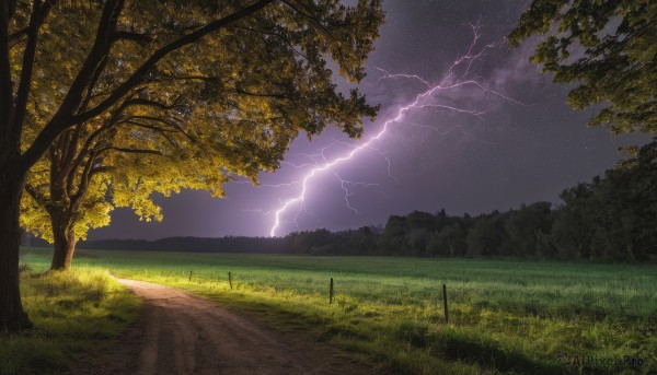 outdoors,sky,cloud,tree,no humans,night,cloudy sky,grass,star (sky),nature,night sky,scenery,forest,starry sky,electricity,road,lightning,landscape,path,mountain,field