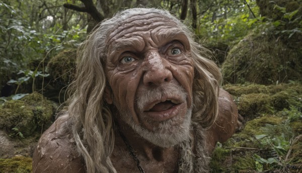 solo,long hair,open mouth,blue eyes,blonde hair,1boy,jewelry,male focus,outdoors,water,necklace,tree,wet,facial hair,portrait,nature,beard,forest,realistic,old,old man,looking at viewer,upper body,white hair,day,plant,branch,moss