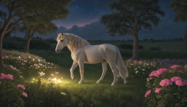 flower,outdoors,sky,tree,no humans,night,glowing,animal,grass,star (sky),nature,night sky,scenery,pink flower,forest,starry sky,field,from side,white flower,bush,horse,flower field