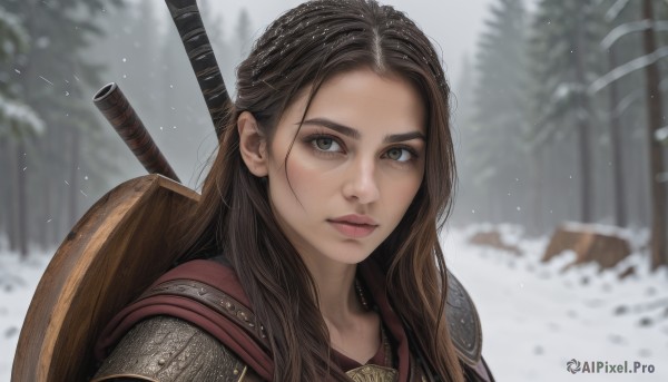 1girl,solo,long hair,looking at viewer,brown hair,brown eyes,closed mouth,upper body,weapon,braid,outdoors,sword,armor,blurry,tree,lips,grey eyes,blurry background,shoulder armor,portrait,nature,snow,forest,headwear removed,freckles,pauldrons,snowing,realistic,nose,winter,weapon on back,chainmail,black hair,hat,green eyes,depth of field,thick eyebrows,forehead