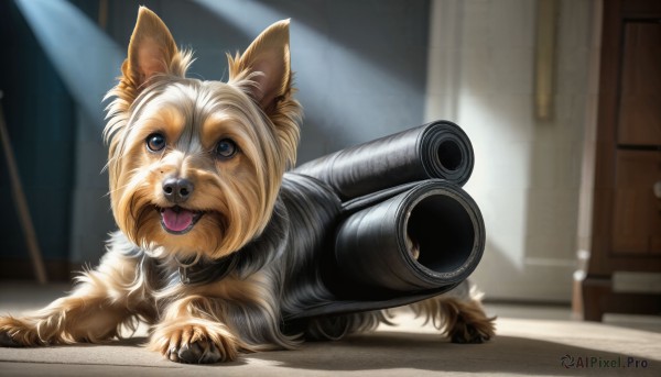 HQ,solo,open mouth,blue eyes,weapon,tongue,indoors,tongue out,blurry,gun,no humans,animal,fangs,cat,dog,realistic,door,animal focus,aiming at viewer,looking at viewer,brown eyes,collar,blurry background,animal collar