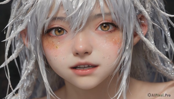 1girl,solo,long hair,looking at viewer,blush,smile,open mouth,bangs,simple background,hair between eyes,brown eyes,collarbone,yellow eyes,white hair,parted lips,teeth,water,blurry,lips,wet,eyelashes,portrait,close-up,freckles,water drop,realistic,nose,bare shoulders,depth of field,black background,messy hair