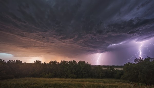 outdoors,sky,cloud,tree,no humans,sunlight,cloudy sky,grass,nature,scenery,forest,sunset,mountain,electricity,lightning,landscape,bush,field