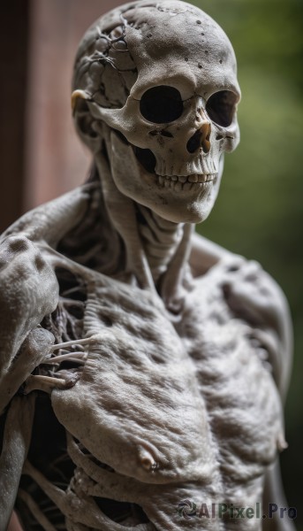 solo,breasts,1boy,nipples,upper body,male focus,nude,teeth,blurry,no humans,blurry background,skull,monster,realistic,grey skin,ribs,skeleton,bone,alien,horror (theme),veins