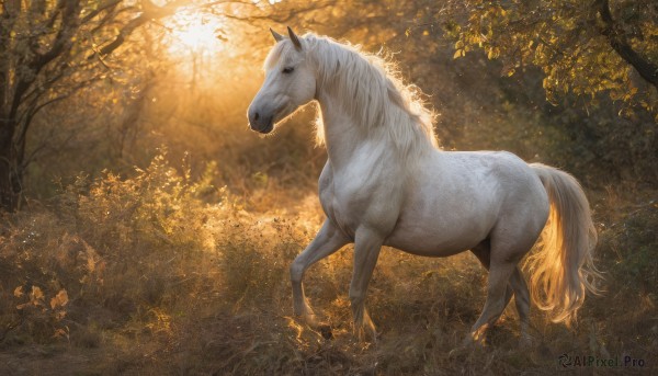 solo,full body,outdoors,signature,tree,no humans,animal,sunlight,grass,nature,scenery,forest,realistic,animal focus,horse,standing,pokemon (creature),leaf