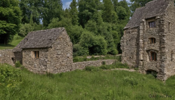 outdoors,sky,day,cloud,tree,blue sky,no humans,window,grass,plant,building,nature,scenery,forest,rock,stairs,door,road,bush,wall,ruins,house,path,brick wall,stone wall,chimney