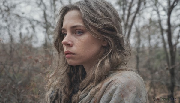 1girl,solo,long hair,looking at viewer,blue eyes,blonde hair,brown hair,jewelry,upper body,braid,earrings,outdoors,parted lips,blurry,tree,lips,grey eyes,depth of field,blurry background,wavy hair,portrait,nature,snow,freckles,realistic,nose,winter,bare tree,closed mouth,day,from side