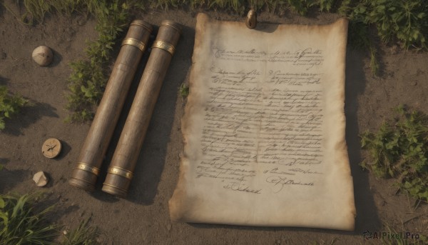 outdoors,day,english text,no humans,shadow,leaf,from above,grass,plant,scenery,paper,map,still life,stone