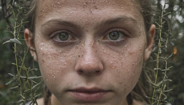 1girl,solo,looking at viewer,brown hair,1boy,brown eyes,closed mouth,green eyes,flower,male focus,blurry,lips,wet,grey eyes,depth of field,blurry background,plant,portrait,close-up,freckles,realistic,nose,blonde hair,eyelashes,vines