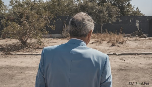 solo,short hair,blonde hair,shirt,long sleeves,1boy,jacket,white shirt,upper body,grey hair,male focus,outdoors,day,collared shirt,from behind,tree,formal,suit,blue shirt,scenery,realistic,facing away,road,photo background,sky