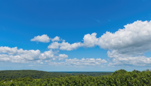 outdoors,sky,day,cloud,tree,blue sky,no humans,cloudy sky,grass,nature,scenery,forest,mountain,field,summer,landscape,contrail,hill,cumulonimbus cloud,flower