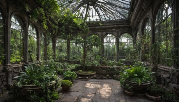 outdoors,day,indoors,tree,dutch angle,no humans,window,sunlight,plant,scenery,light rays,potted plant,ruins,vines,pillar,arch,moss,overgrown,signature,architecture,garden