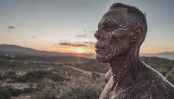 A glimpse of a male in a lush sunset outdoors