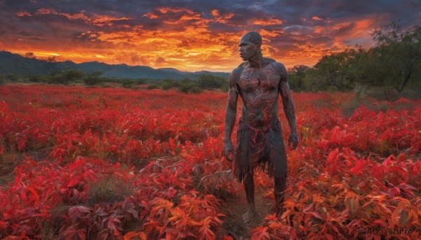 solo,1boy,standing,flower,male focus,outdoors,sky,cloud,tree,tattoo,muscular,cloudy sky,red flower,nature,scenery,topless male,sunset,field,flower field,spider lily,orange sky,red sky,short hair,closed mouth,full body,white hair,barefoot,blood,scar,pectorals,arms at sides,bald,red theme,loincloth,twilight,full-body tattoo