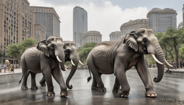 outdoors,horns,sky,day,cloud,tree,no humans,cloudy sky,building,reflection,monster,city,realistic,dinosaur,animal,road,skyscraper,pig,elephant,post-apocalypse