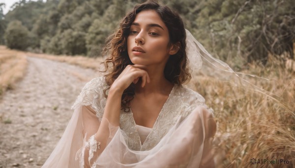 1girl,solo,long hair,brown hair,black hair,long sleeves,dress,brown eyes,upper body,outdoors,parted lips,day,hand up,white dress,blurry,tree,lips,see-through,looking to the side,depth of field,blurry background,looking away,nature,veil,curly hair,realistic,hand on own chin,looking afar,photo background,looking at viewer,braid,dark skin,dark-skinned female,grass