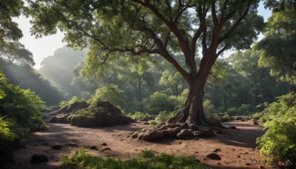 outdoors,sky,day,tree,no humans,sunlight,grass,plant,nature,scenery,forest,rock,road,bush,landscape,path,cloud,blue sky,light rays,dappled sunlight