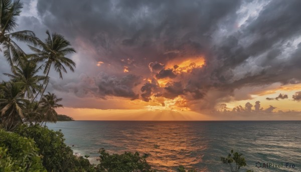 outdoors,sky,cloud,water,tree,no humans,ocean,beach,sunlight,cloudy sky,fire,nature,scenery,smoke,sunset,sand,palm tree,horizon,shore,island,plant,waves