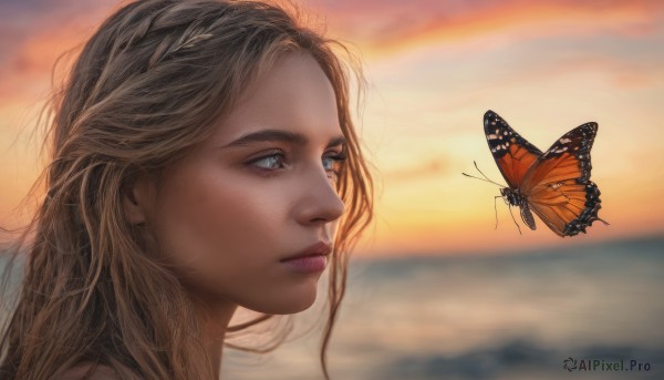 1girl, solo, long hair, blue eyes, blonde hair, outdoors, sky, blurry, lips, bug, butterfly, portrait, sunset, realistic