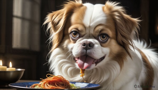 HQ,looking at viewer,open mouth,brown eyes,food,tongue,indoors,tongue out,blurry,no humans,blurry background,animal,fangs,eating,fire,plate,bowl,realistic,candle,animal focus,noodles,food focus,lion,pasta,spaghetti,solo,teeth,depth of field,watermark,web address,dog,fork,pet