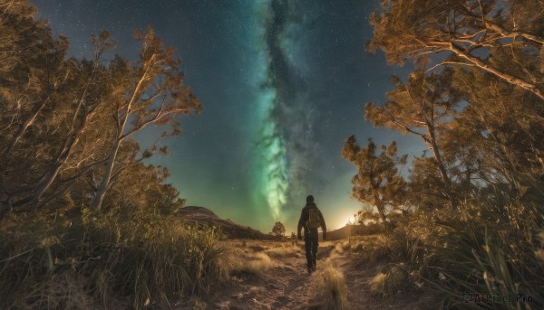 1girl,solo,black hair,1boy,standing,male focus,outdoors,sky,from behind,tree,night,grass,star (sky),nature,night sky,scenery,forest,starry sky,wide shot,ground vehicle,motor vehicle,walking,ambiguous gender,milky way