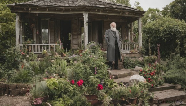 solo,looking at viewer,shirt,1boy,standing,flower,male focus,outdoors,day,pants,tree,coat,facial hair,black pants,plant,red flower,building,scenery,hand in pocket,stairs,hands in pockets,potted plant,bush,bald,architecture,house,wide shot,old,east asian architecture,old man,statue,trench coat,grey coat,garden,closed eyes,white hair,grey hair,glasses,leaf,nature,open coat,shrine