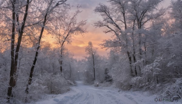 The beauty of a landscape set in a captivating snowy outdoors