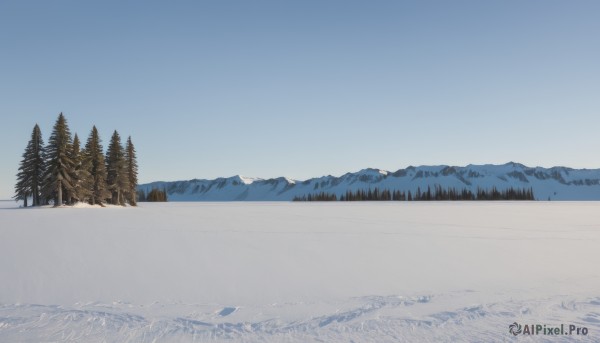 outdoors,sky,day,tree,blue sky,no humans,nature,scenery,snow,forest,mountain,winter,bare tree,landscape,mountainous horizon,pine tree