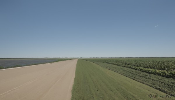 outdoors,sky,day,tree,blue sky,no humans,bird,grass,nature,scenery,mountain,sand,road,field,landscape,hill,forest,horizon,bush,path