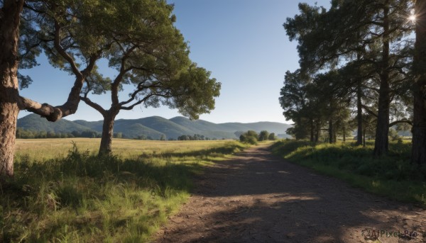A delightful capture of a landscape within day