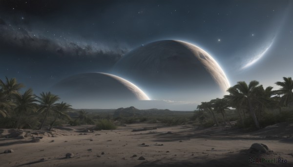 A stunning unique subject within a vivid outdoors