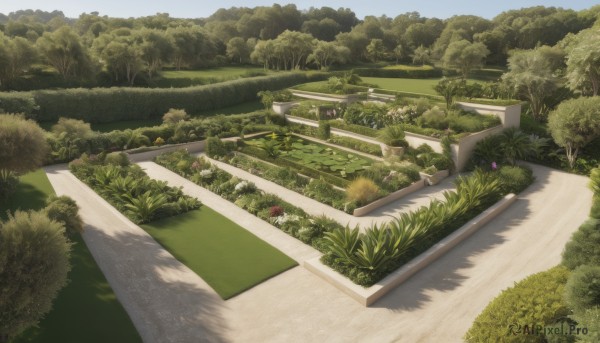 A stunning garden captured in day