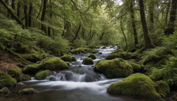 A stunning waterfall within a lush day