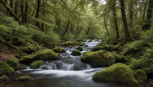 outdoors,day,water,tree,no humans,nature,scenery,forest,rock,river,waterfall,moss,stream,sunlight,plant,green theme,landscape